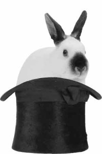 hijinx-rabbit-hat_05